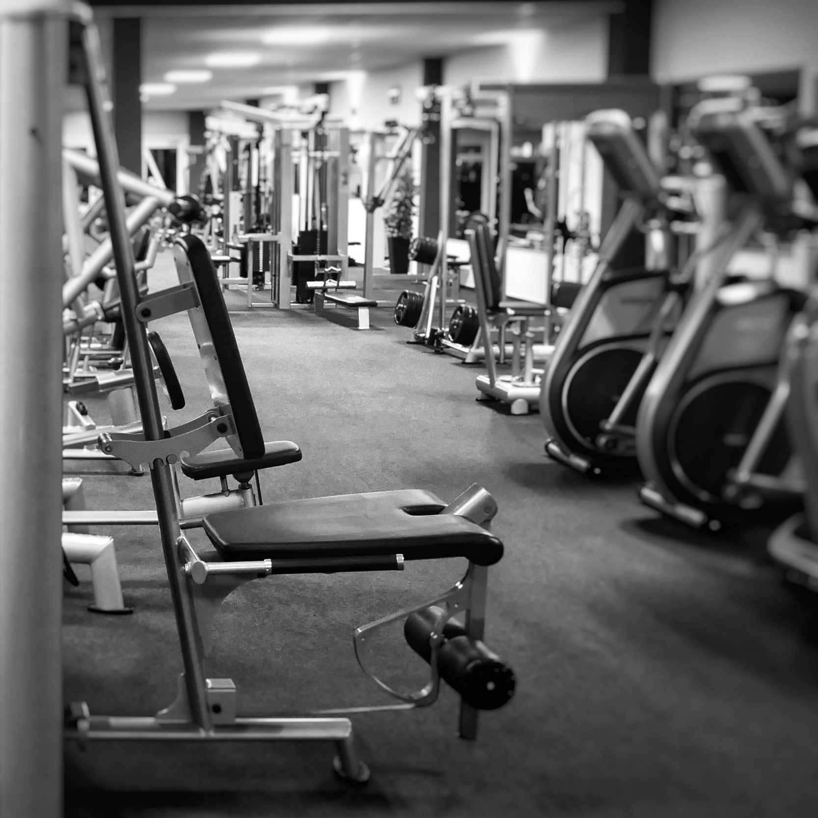 Sport-Center Katana Trainingsbereich